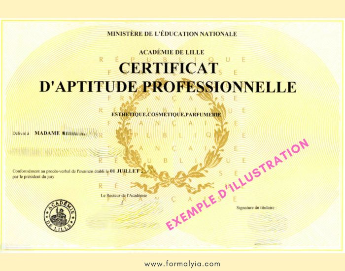 Diplôme CAP esthétique